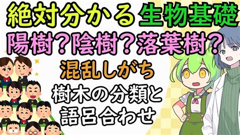 陽樹 陰樹 一覧 生物基礎|陰樹と陽樹の違いと代表的な樹木 